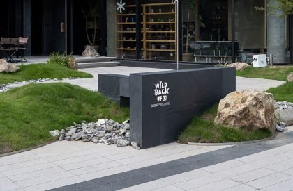 Wild Back | Pig Design