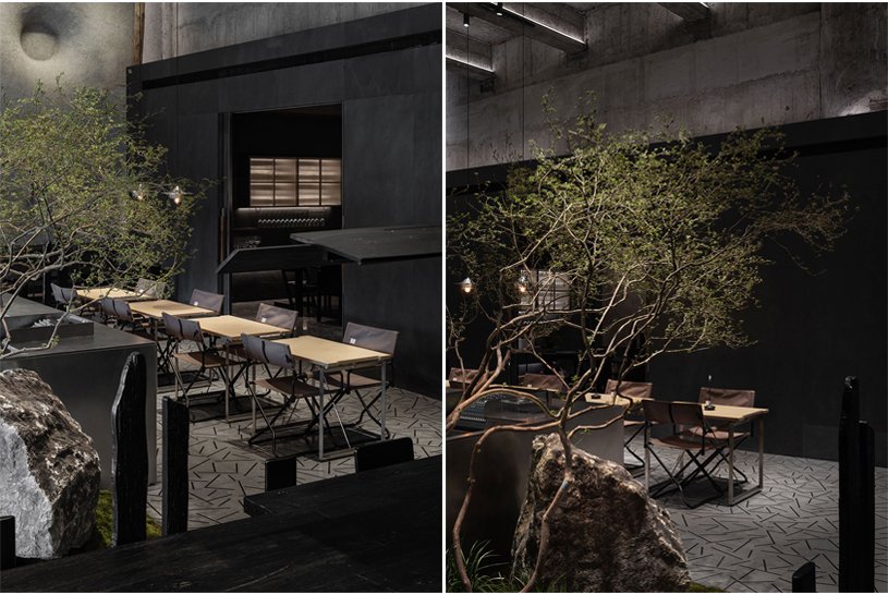 Wild Back | Pig Design