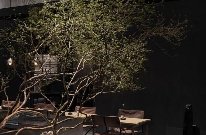 Wild Back | Pig Design