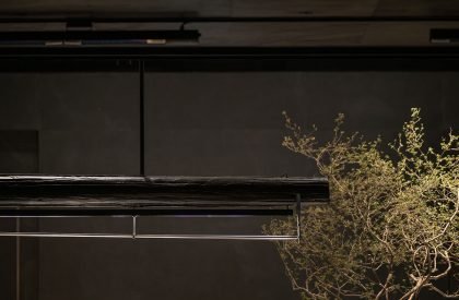 Wild Back | Pig Design