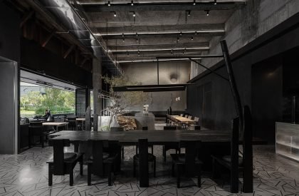 Wild Back | Pig Design