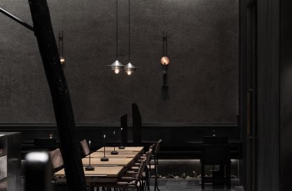 Wild Back | Pig Design