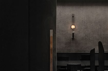 Wild Back | Pig Design