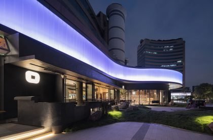 Wild Back | Pig Design