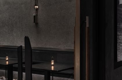 Wild Back | Pig Design