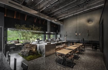 Wild Back | Pig Design