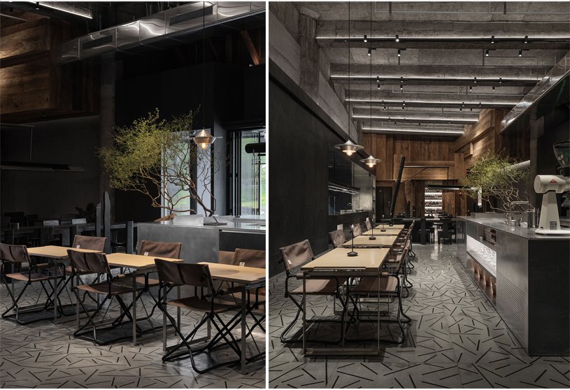 Wild Back | Pig Design