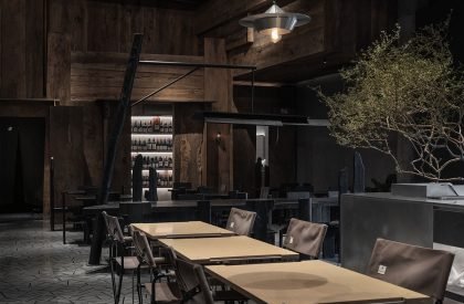 Wild Back | Pig Design