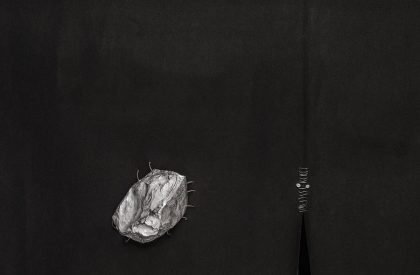 Wild Back | Pig Design