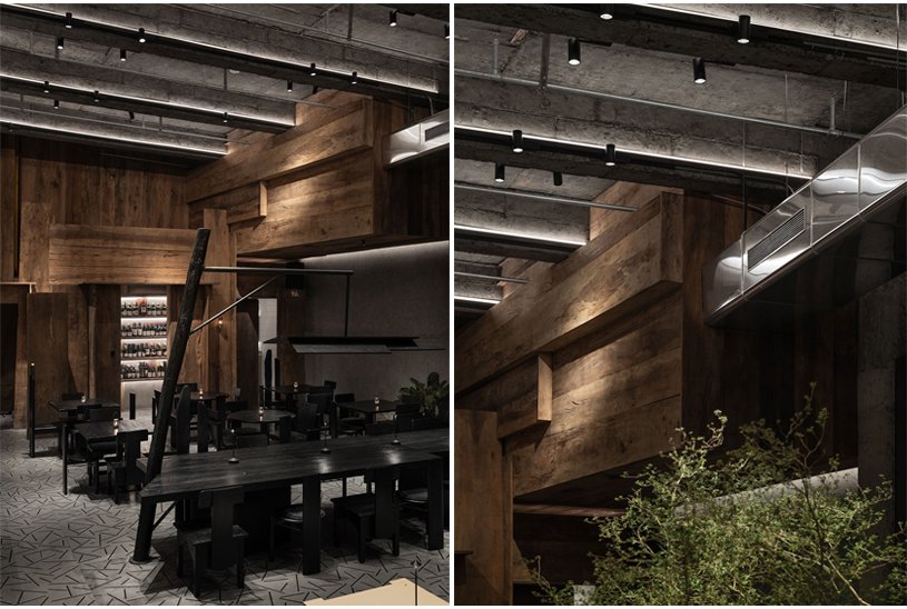 Wild Back | Pig Design