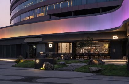 Wild Back | Pig Design