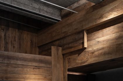 Wild Back | Pig Design