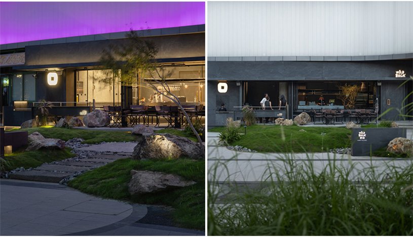 Wild Back | Pig Design