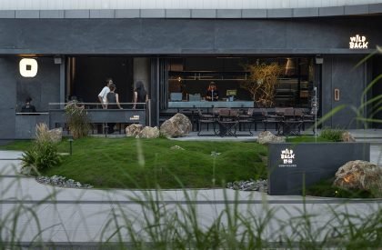 Wild Back | Pig Design