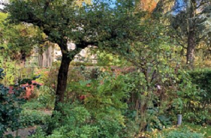 Inward. The silence is within | Architecture Thesis on Urban Revitalization