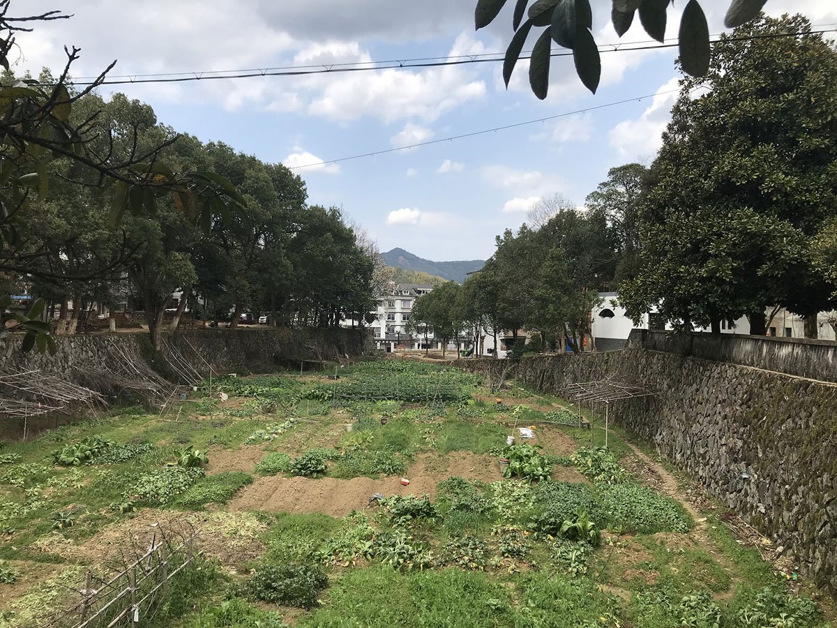Future Community Center, Xikou | y.ad studio