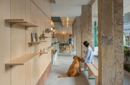 Gogoland | Informal Design