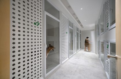 Gogoland | Informal Design