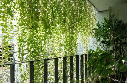 Green Box House | Plus Idea Studio