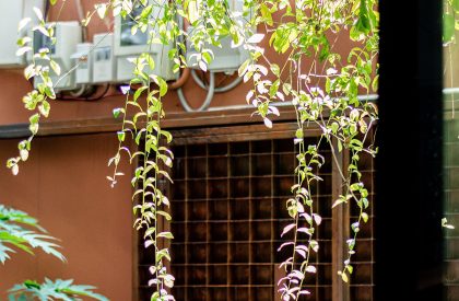 Green Box House | Plus Idea Studio