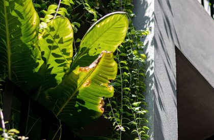 Green Box House | Plus Idea Studio