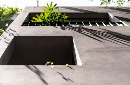 Green Box House | Plus Idea Studio