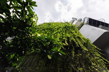 Green Box House | Plus Idea Studio