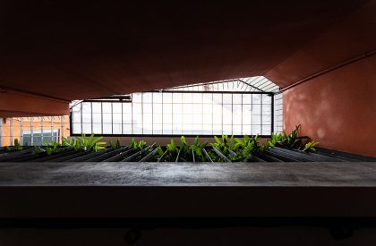 Green Box House | Plus Idea Studio