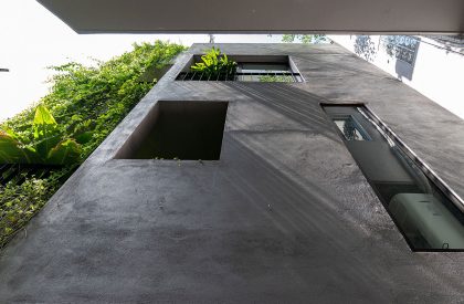 Green Box House | Plus Idea Studio
