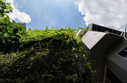 Green Box House | Plus Idea Studio