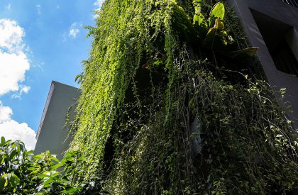 Green Box House | Plus Idea Studio