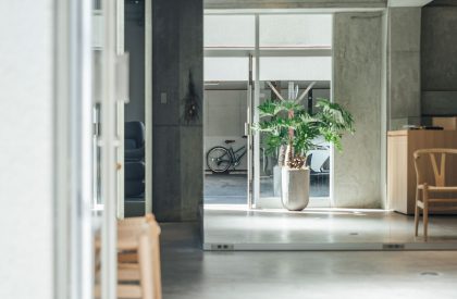 Kyslik | Teki Design