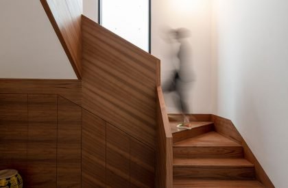 LUMO-7 | Studio Toggle