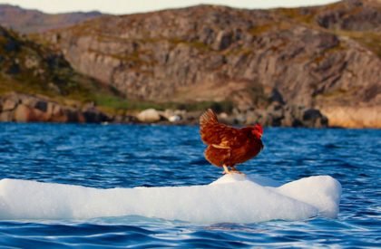 PORTCULLIS - Drifter’s anchor | Design Thesis on Floating Architecture