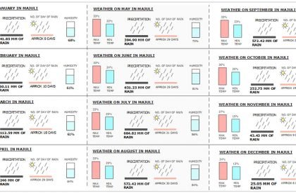 Project Noah-The Floating Village at Majuli, Assam, India | Design Thesis on Floating Architecture