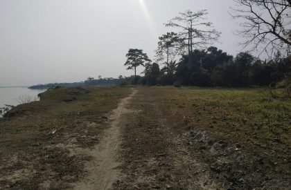 Project Noah-The Floating Village at Majuli, Assam, India | Design Thesis on Floating Architecture