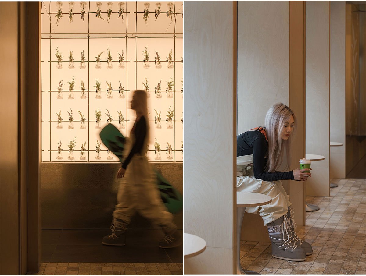 Cang 41 | Jumgo Creative