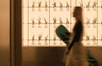 Cang 41 | Jumgo Creative