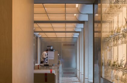 Cang 41 | Jumgo Creative