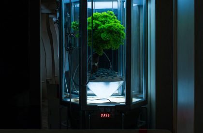 Cang 41 | Jumgo Creative