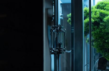 Cang 41 | Jumgo Creative