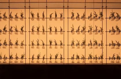 Cang 41 | Jumgo Creative