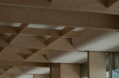 Cang 41 | Jumgo Creative