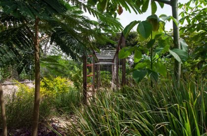 Casa Coronado | Apaloosa Estudio de Arquitectura y Diseño + Simetría Estudio de Arquitectura