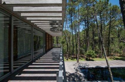Impala House | Estudio Galera