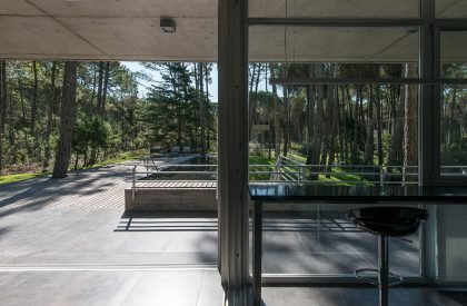 Impala House | Estudio Galera