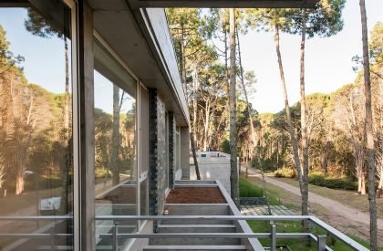Impala House | Estudio Galera