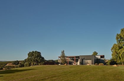 Fulldraw Vineyard | Clayton Korte