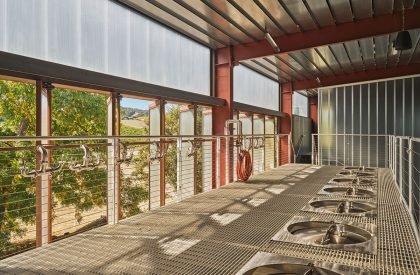 Fulldraw Vineyard | Clayton Korte