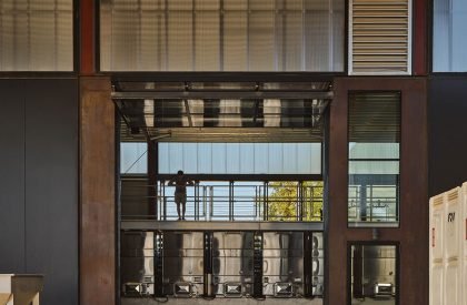 Fulldraw Vineyard | Clayton Korte